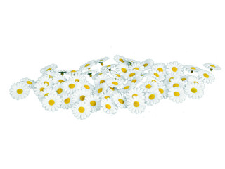 scatter blossoms Ø 3cm 60-pieces white/yellow