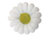 fleuraisons à éparpiller Ø 3cm 60-pcs. blanc/jaune