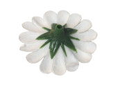 scatter blossoms Ø 3cm 60-pieces white/yellow