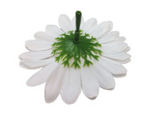 scatter blossoms "marguerite" Ø 9cm 50-pieces white/yellow