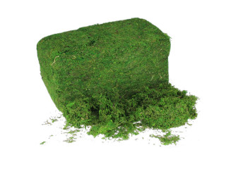mousse sèche vert 1kg