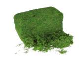 mousse sèche vert 1kg