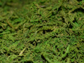 mousse sèche vert 1kg