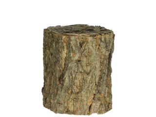 tree trunk with bark Ø 12cm x h 13cm