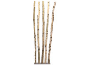 stand straight for 5 birch trunks 65 x 18cm