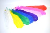 multicolored quills 100g 25 - 30cm long