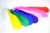 plume de tuyau multicolore 100g 25 - 30cm de long