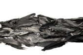 plume de tuyau noir 20g 10 - 15cm de long