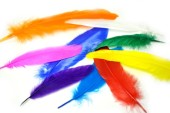 plume de tuyau multicolore 20g 10 - 15cm de long