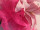 SIZOFLOR fuchsia en div. largeurs