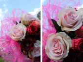 SIZOFLOR fuchsia (3450) 8cm x 25m