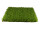 tapis de gazon "de luxe" 30 x 30cm
