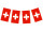 string of flags "Switzerland" fabric 5m