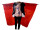 drapeau de corps "Suisse" 105 x 145cm