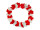 collier de fleurs "Suisse" rouge-blanc