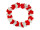 lei "Swiss" red-white