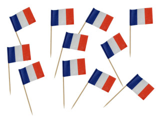 piques de fanion "France" 50 pcs.