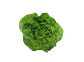 photo print "lettuce" Ø 20cm