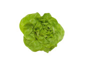 photo print "lettuce" Ø 20cm