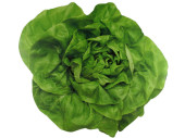 photo print "lettuce" Ø 40cm