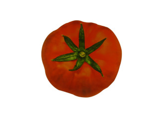 photo print "tomato" Ø 20cm