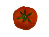 impression photo "tomate" Ø 20cm