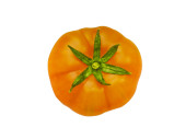 impression photo "tomate" Ø 20cm