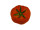 Fotodruck "Tomate" Ø 20cm