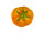 photo print "tomato" Ø 20cm