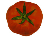 Fotodruck "Tomate" Ø 40cm