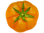 Fotodruck "Tomate" Ø 40cm