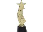 Trophy Award Shooting Star