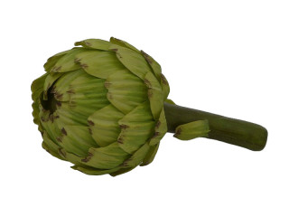 artichoke green var. sizes