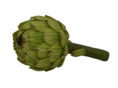 artichoke green Ø 10cm, l 19cm