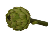 Artischocke grün geschlossen Ø 10cm, L 19cm