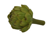 artichaut vert clos Ø 7,5cm, l 12cm
