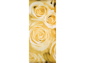 Textilbanner Rosen crème "Charlotte" 75...