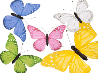 butterfly "PVC printed" various sizes/colors