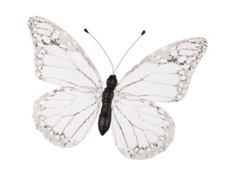 Schmetterling PVC bedruckt weiss 50 x 35cm