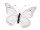 papillon "PVC imprimé" blanc 50 x 35cm