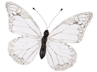 papillon "PVC imprimé" blanc 80 x 60cm