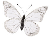 papillon "PVC imprimé" blanc 80 x 60cm