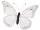 butterfly "PVC printed" white 80 x 60cm