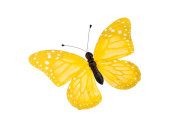 Schmetterling PVC bedruckt gelb 20 x 15cm