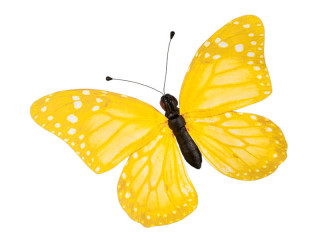 papillon "PVC imprimé" jaune 50 x 35cm