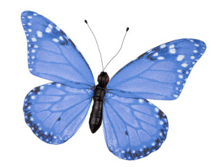 papillon "PVC imprimé" bleu 50 x 35cm