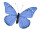 butterfly "PVC printed" blue 50 x 35cm