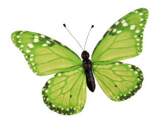papillon "PVC imprimé" vert 50 x 35cm