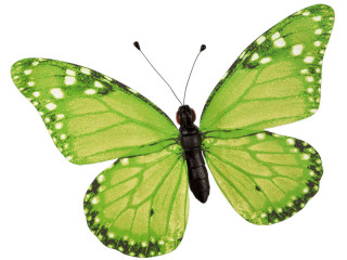Schmetterling PVC bedruckt grün 80 x 60cm