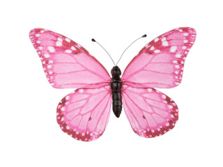 butterfly "PVC printed" pink 20 x 15cm